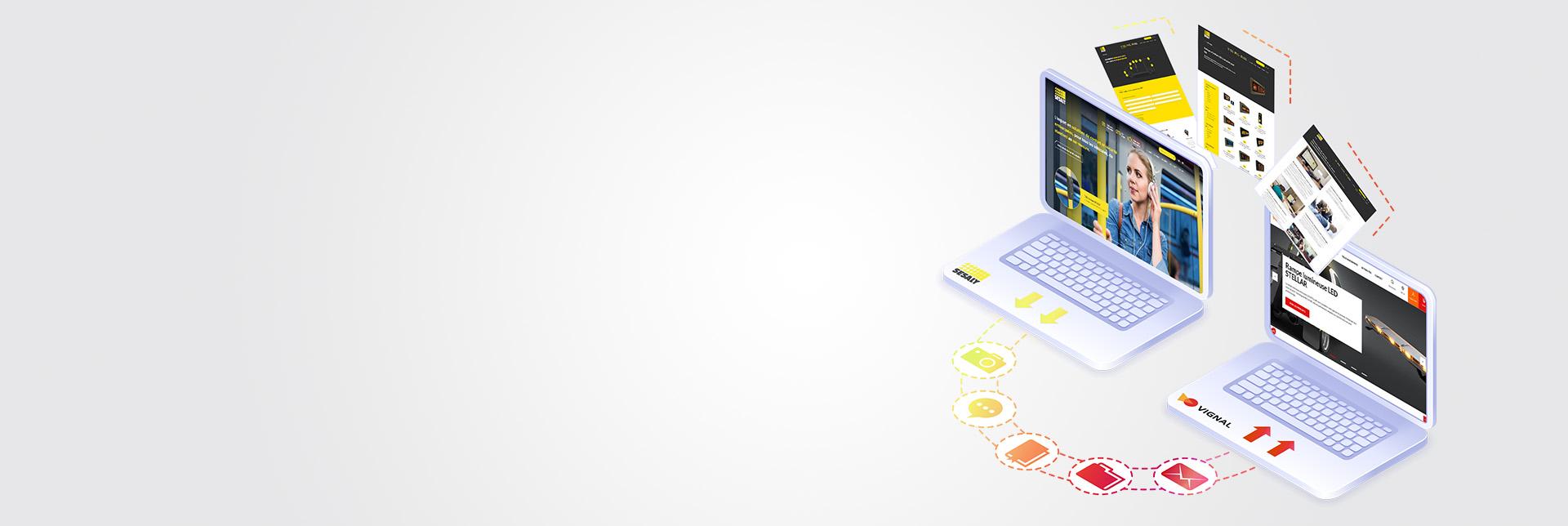 Banner migration of the SESALY website